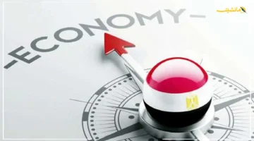 قفزة اقتصادية جديدة.. خبير يكشف قدرة مصر على تنفيذ الإصلاحات المحلية بعيدًا عن صندوق النقد 1